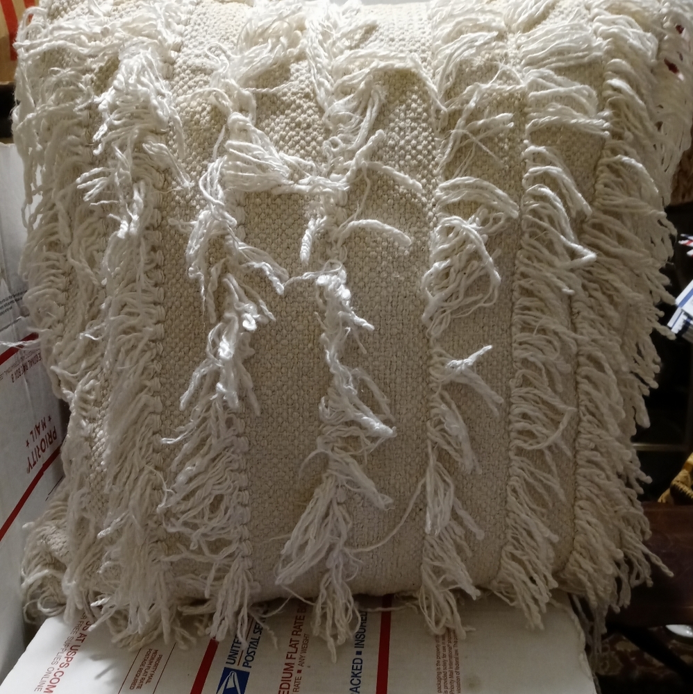 🎇🎁PACIFIC COAST FEATHER CUSHION.